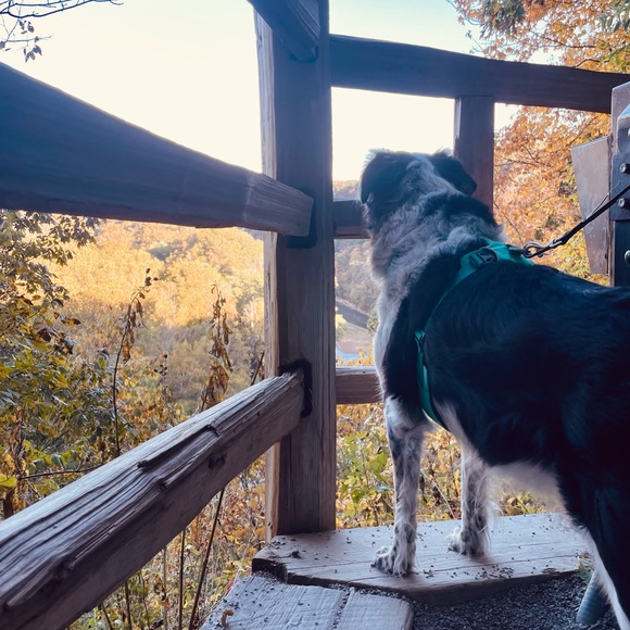 Meet your Posher, Brittany - Picture 1 of 1